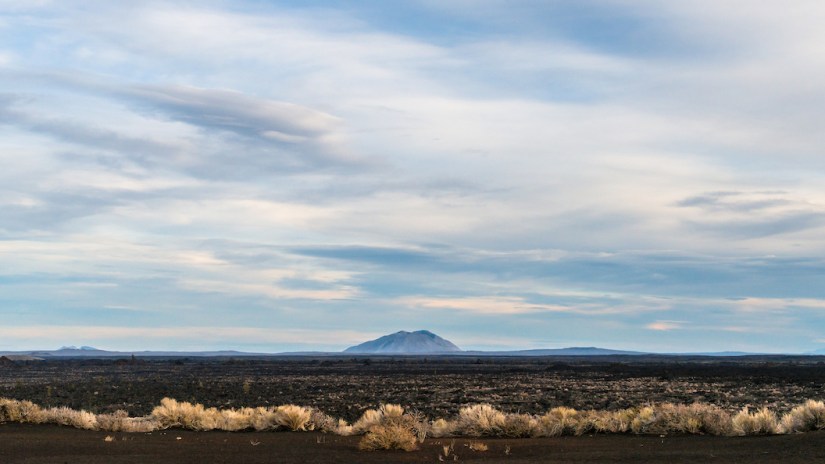 Notes From a New Landscape