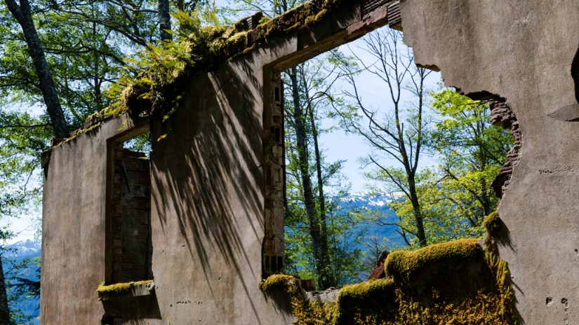 Yorke Island, British Columbia | Travel Photography