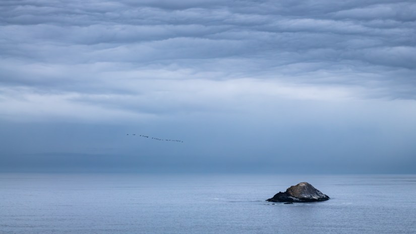 Lessons in Vulnerability on the Stormy Oregon Coast | Personal Work