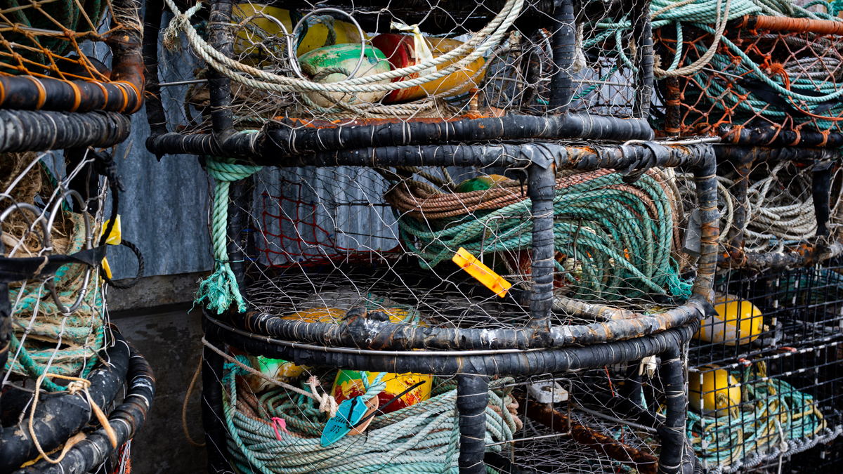 Rainy Day on the Wharf | Monterey Travel Photography